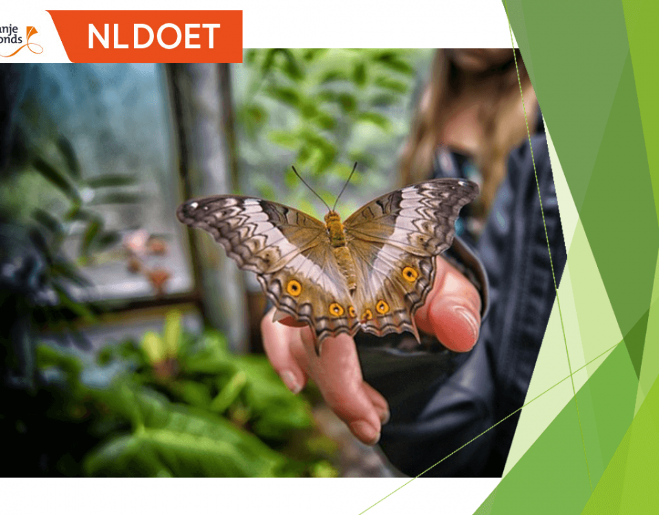 NL Doet 2019 ConMar doet weer mee en geeft het Agathepark in Krommenie een steuntje in de rug.