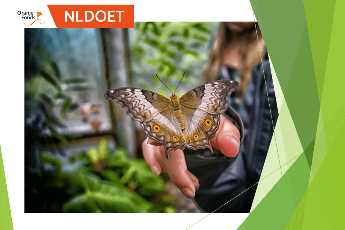 NL Doet 2019 ConMar doet weer mee en geeft het Agathepark in Krommenie een steuntje in de rug.